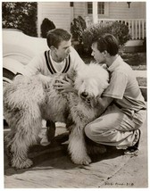 *Walt Disney&#39;s THE SHAGGY DOG (1959) Tim Considine &amp; Tommy Kirk Comedy Fantasy - £27.97 GBP