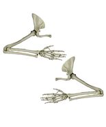 New Life Size Pair BUCKY SKELETON ARMS Set-2nd Class Resin Anatomical Up... - $75.97