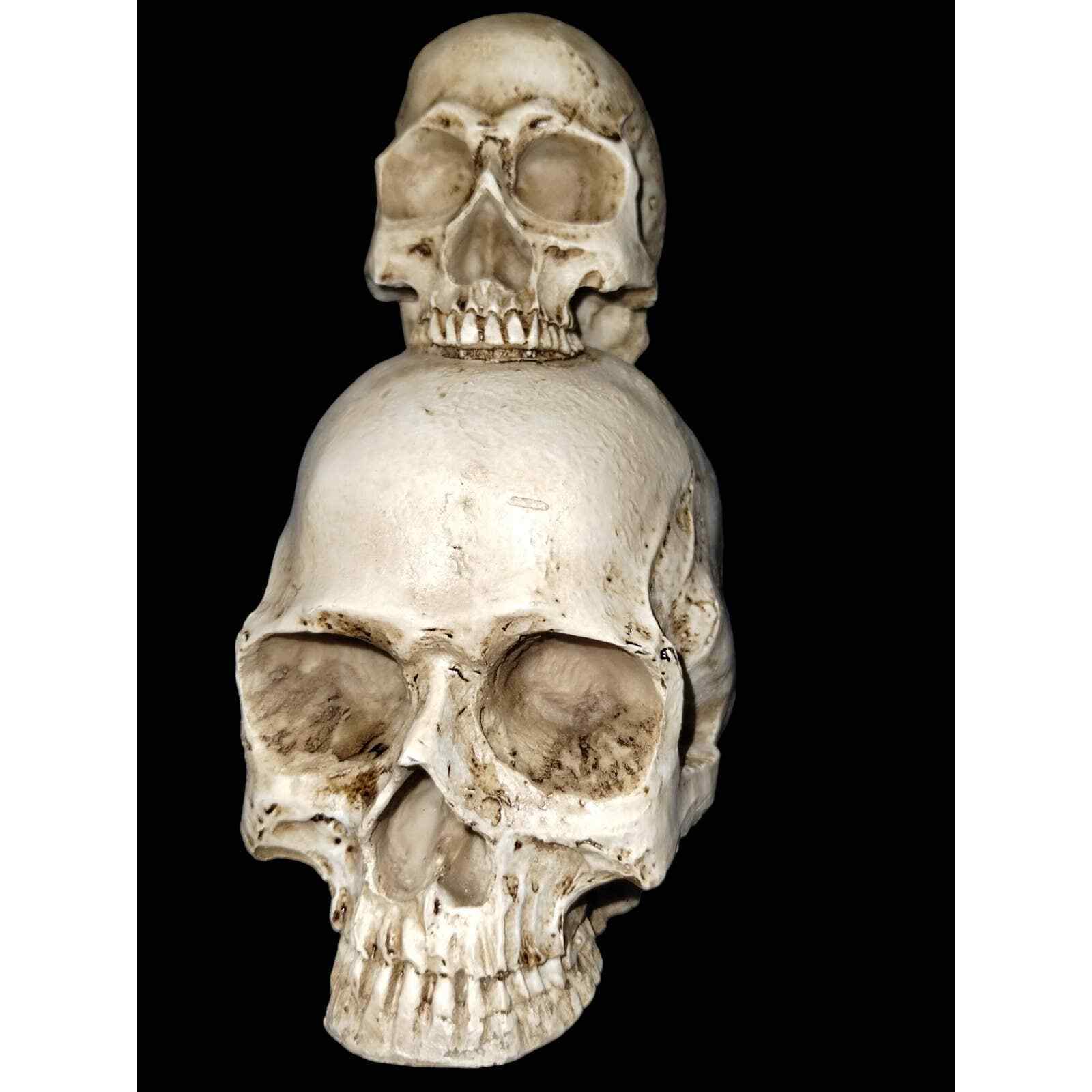Very sturdy awesome looking skeleton heads - $31.68
