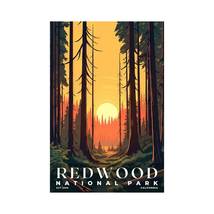 Redwood National Park Poster | S03 - $33.00+