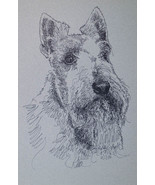 Scottish Terrier Dog Art Print #58 WORD DRAWING Kline adds dogs name fre... - £39.92 GBP