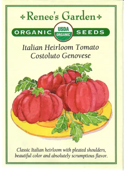 Tomato Costoluto Genovese Organic Heirloom Vegetable Seeds - 12/24 Fresh Garden - £10.22 GBP