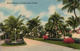 Parkway at Golden Beach Florida Postcard PC316 - £3.92 GBP