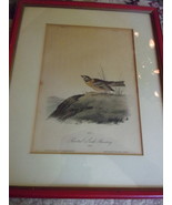 Audubon Bunting Pair, Plates 153 and 158, 1st Royal Octavo, 1840s - $49.00