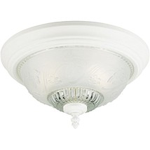 Westinghouse Lighting 2-Light Ceiling Fixture, White - 66162 - $70.99