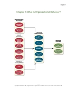 Solution Manual for Organizational Behavior Improving Performance and Co... - €15,39 EUR