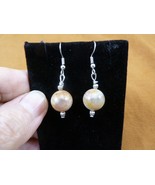 DP1-18c REAL DINOSAUR POOP 12mm bead dangle EARRINGS Utah ancient Dino C... - $18.99