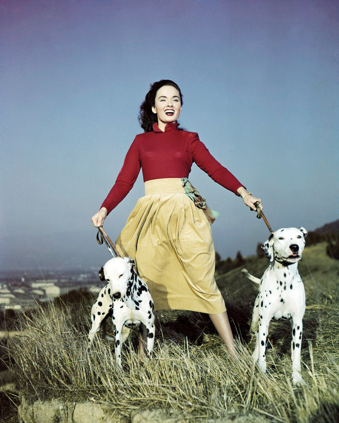 Ann Blyth Stunning and Rare Shoot 1952 with Dalmation Dogs Poster 16x20 Canvas - £54.81 GBP