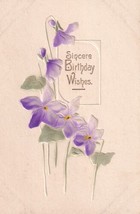 Sincere Birthday Wishes Purple Violets Postcard D19 - $2.99