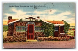 Petrified Forest Headquarters Badlands North Dakota ND Linen Postcard W6 - £2.64 GBP