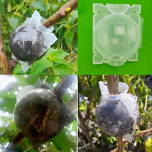5pcs Plant Rooting growing Ball Grafting Root Seeding Graft Case Container cup - £5.46 GBP