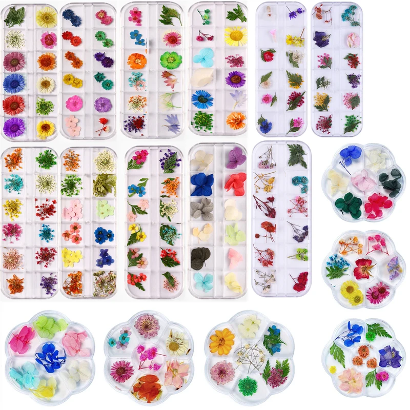 19 Styles DIY Real Pressed Natural Flower Anne&#39;s Lace Dried Flower Nail Art - $10.40+