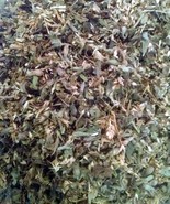Catnip (3 lbs Coarse Cut Bulk) Fresh Premium Canadian Catnip, for Cats & Kittens - $69.95