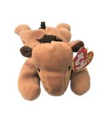 TY Beanie Babies Derby The Brown Horse 8 inches DOB 9/16/1995 - $6.95
