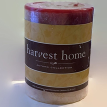 Harvest Home Scented Candle Cinnamon Spice Fall Hobby Lobby Unused Autumn READ - £5.48 GBP