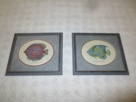 PAIR Framed RUBY DISCUS &amp; BLUE RINGED ANGELFISH Cross Stitch PICTURES--1... - £39.23 GBP