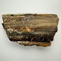 Saddle Mt Petrified Wood Chunk Wood 2 Lbs 14 Oz Old Stock - $24.74