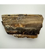 Saddle Mt Petrified Wood Chunk Wood 2 Lbs 14 Oz Old Stock - £18.58 GBP