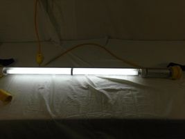 Item image 12