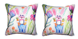 Pair Of Betsy Drake Mr. Farmer Large Indoor Outdoor Pillows 18 X 18 - £70.46 GBP