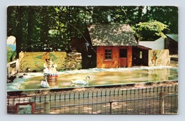 Jolly Miller Pond Deer Forest Animal Farm Coloma MI UNP Chrome Postcard N15 - £3.91 GBP