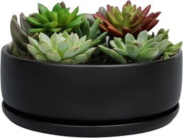 Black Ceramic Sqowl 8 Inch Modern Round Flower Pot Cactus Succulent Planter Bowl - £33.81 GBP