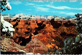 Vtg Postcard Grand Canyon National Park, Arizona, Snow-capped pines - £5.16 GBP