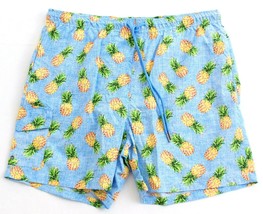Rainforest Blue Pineapple Print Brief Lined Swim Trunks Water Shorts Men... - $59.99