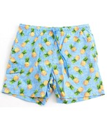 Rainforest Blue Pineapple Print Brief Lined Swim Trunks Water Shorts Men... - £47.95 GBP