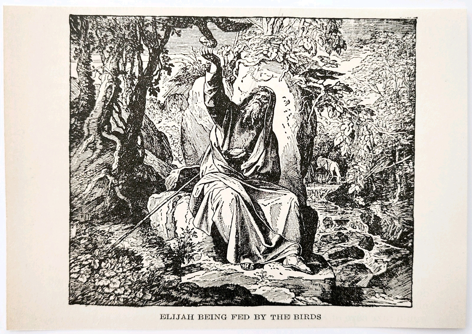 1922 Elijah Being Fed By The Birds Wood Engraving Bible Story Vintage DWSS3 Item image 2