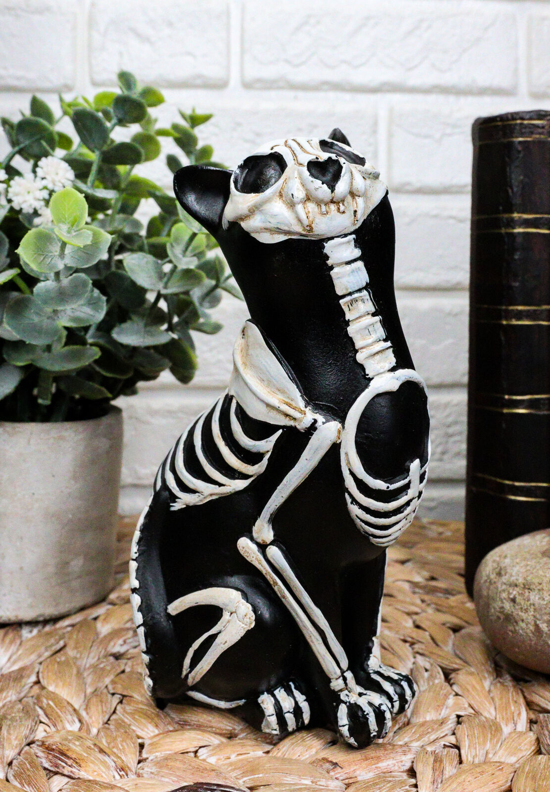 Primary image for Ebros DOD Skeleton Cat Statue Halloween X-Ray Decor Crazy for Cats (Male Cat)
