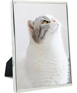 5X7 Picture Frame Metal, Thin Profile Photo Frame 5 by 7 Inch, Display f... - $460.36 MXN