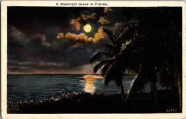Vintage Postcard A Moonlight Scene In Florida Palm Trees Lake View (C12) - £5.87 GBP