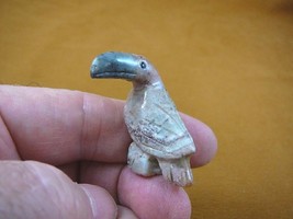 y-bir-to-31) little gray red Toucan tropical bird soapstone carving love toucans - £6.86 GBP
