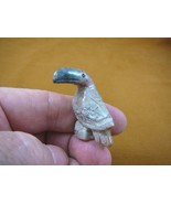 y-bir-to-31) little gray red Toucan tropical bird soapstone carving love... - $161.90 MXN