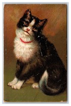 Adorabile Gatto Grande Occhi Collare 1910 DB Cartolina B18 - £6.37 GBP