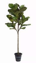 Realistic 5&#39;H Potted Fiddle Leaf Fig In Polyester - £120.21 GBP