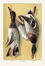 Wild Ducks - Art Print - £17.22 GBP+
