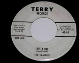 The Casinos Lovely One Gee Whiz Promo 45 Rpm Vintage Terry Label 115 G/VG - $299.99