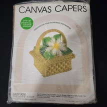 LEISURE ARTS NEW Canvas Capers Plastic Canvas Kit Daisy Box Craft #302 Complete - $10.88
