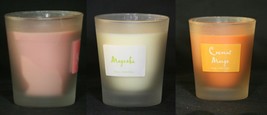 Scentspirations Scented Soy Candle in Frosted Glass Choose from Three Sc... - $11.99