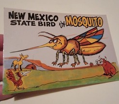Vintage Postcard Post Card VTG Picture Funny Mosquito New Mexico State Bird - £9.21 GBP