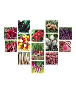Radish Seeds Collection, NON-GMO, 14 Different Varieties, Heirloom, FREE... - £1.31 GBP+