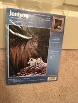 Janlynn NORTHERN LIGHTS Counted Cross Stitch Kit Unopened #13-244 - $14.75