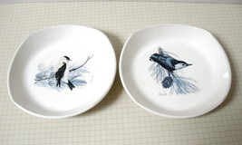 Two (2) Protect Our Songbirds Dishes, White Breasted Nuthatch and Goldfinch  - £9.65 GBP
