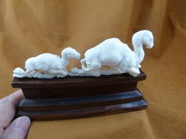 (cam-5) pair of Camels of shed ANTLER figurine Bali detailed carving dro... - $75.03