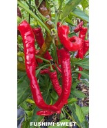SEED- Sweet Pepper- Spanish Nora, Japanese Fushimi, Sweet Cherry Rare Un... - €3,15 EUR+