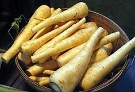 1000 Seeds All American Parsnip Pastinaca Sativa White Root Vegetable - £13.58 GBP