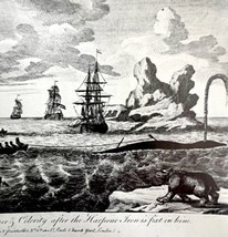 Harpooned Whale Towing Ships 1926 Nautical Antique Print Whale Hunting D... - $24.99