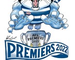 AFL Premiers 2022: Geelong Cats DVD | Region 4 - $18.09